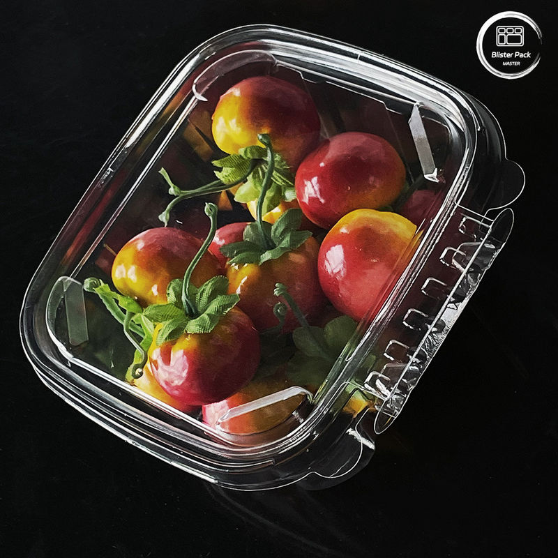 Περιβαλλοντικά φιλικά 16 & 24 Oz δοχεία σαλάτας με προσαρτημένα καπάκια για φρέσκα προϊόντα