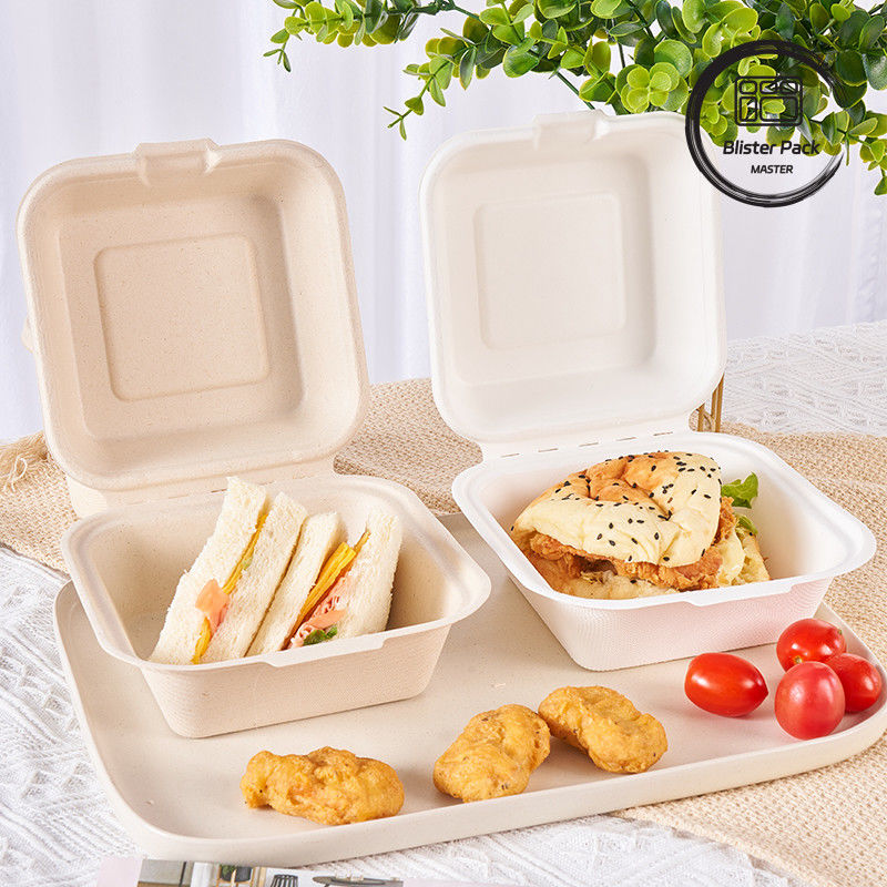 9 ιντσών ζαχαροκάλαμο Bagasse Clamshell κουτί μεσημεριανού γεύματος Απορρίψιμο και βιοδιασπώμενο δοχείο τροφίμων για τα μπέργκερ και το φούρνο
